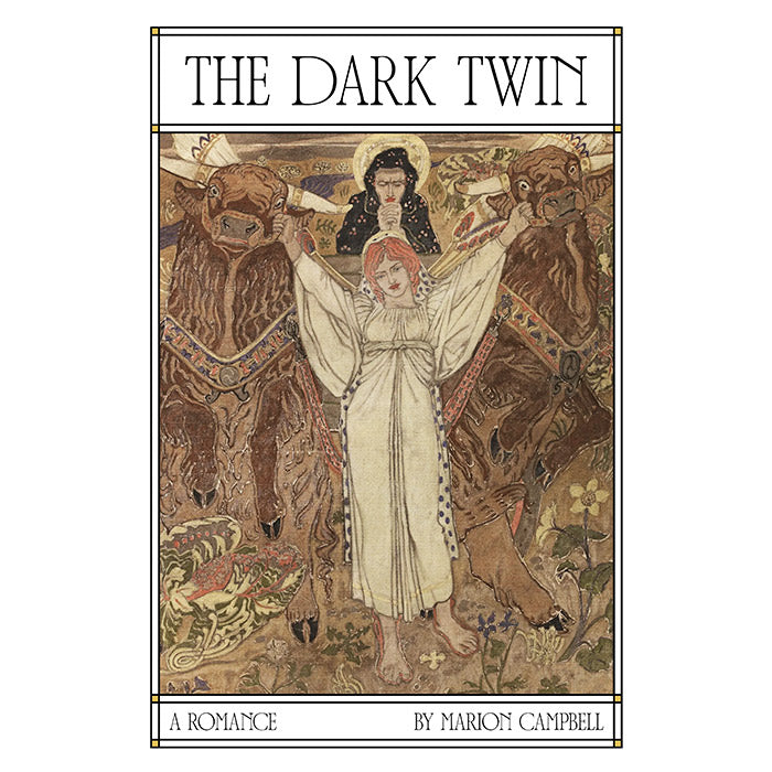 The Dark Twin - Marion Campbell