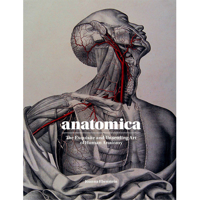ANATOMICA x JONATHAN RICHARD Anatomica - The Exquisite and