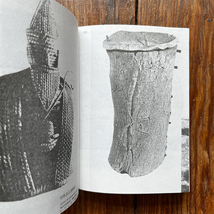 Hives: A Visual History of the Beehive by Aladin Borioli