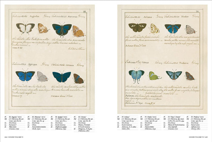 Iconotypes - A Compendium of Butterflies and Moths - William Jones