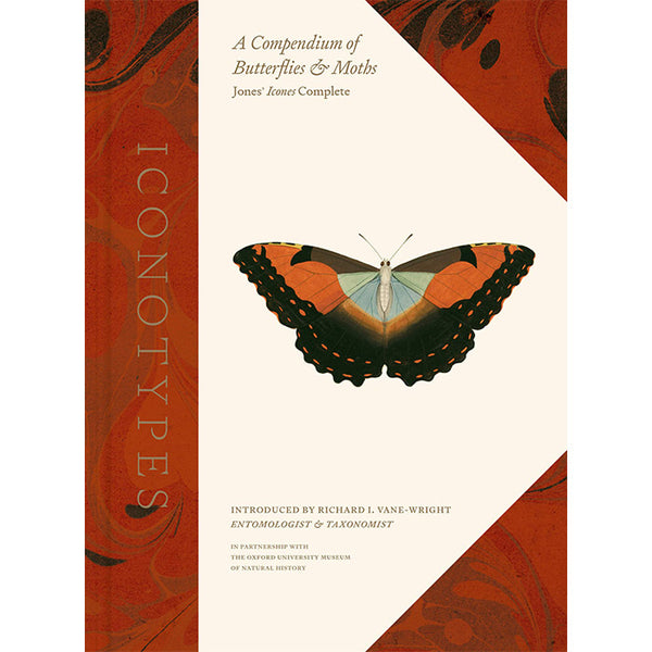 Iconotypes - A Compendium of Butterflies and Moths - William Jones