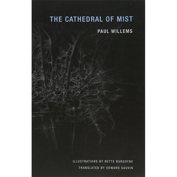 The Cathedral of Mist by Paul Willems  ISBN 9781939663184 Wakefield Press Edward Gauvin Bette Burgoyne