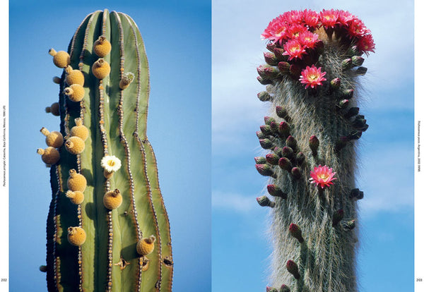 Xerophile - Cactus Photographs from Expeditions of the Obsessed