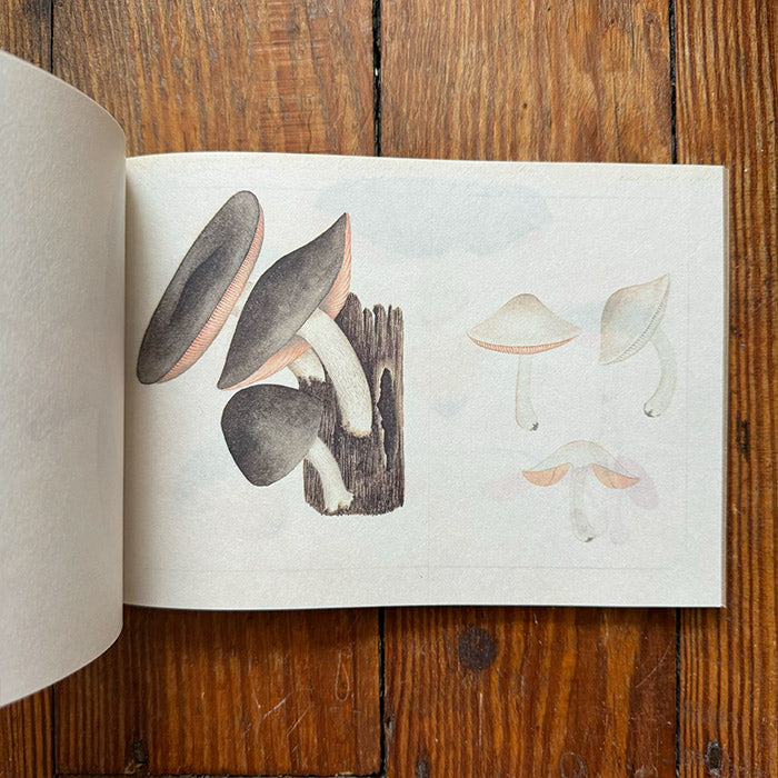 100 Writing and Crafting Papers of Mushrooms