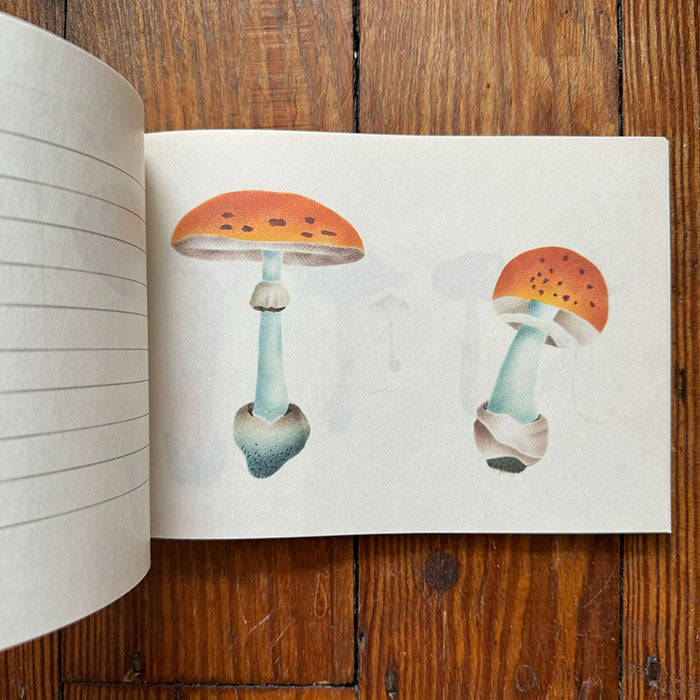 100 Writing and Crafting Papers of Mushrooms