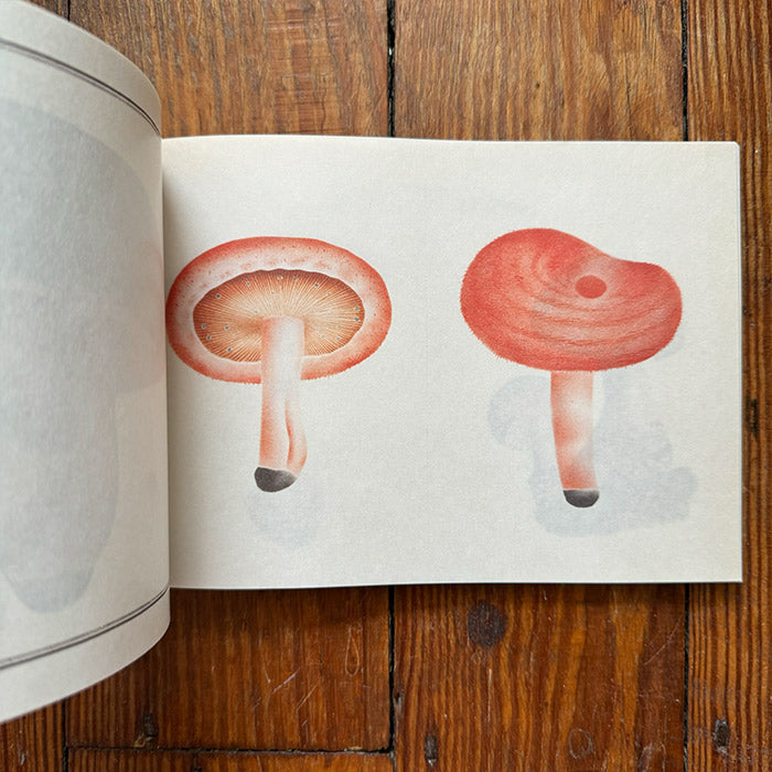 100 Writing and Crafting Papers of Mushrooms
