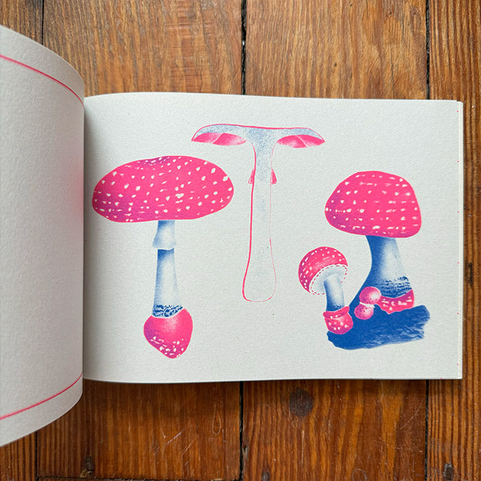 100 Writing and Crafting Papers of Mushrooms