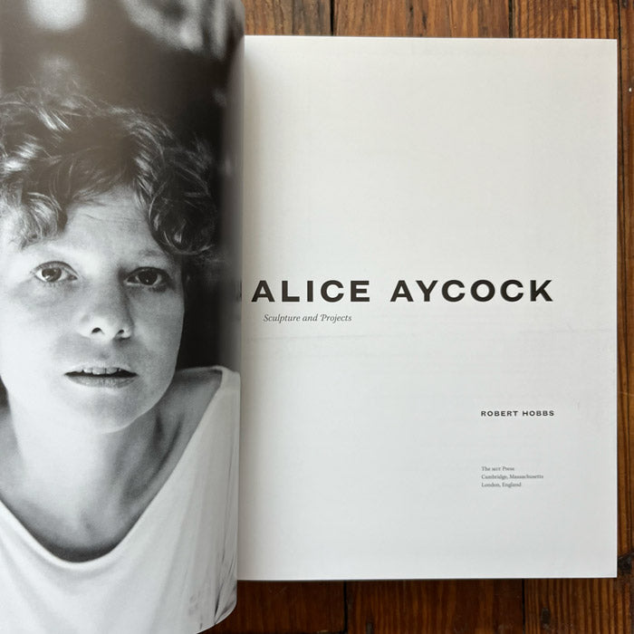 Alice Aycock - Sculpture and Projects (discounted) - Robert Hobbes