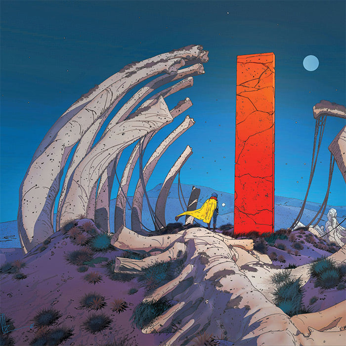 Reves Entrelaces - Amir Zand