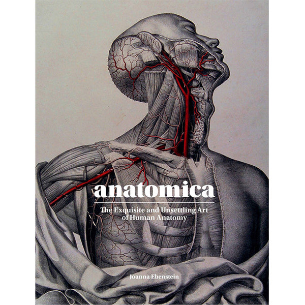 Anatomica (damaged) - Joanna Ebenstein