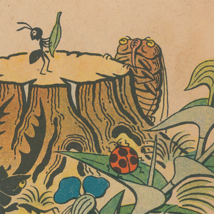 Anthropomorphic Japan - The Insects