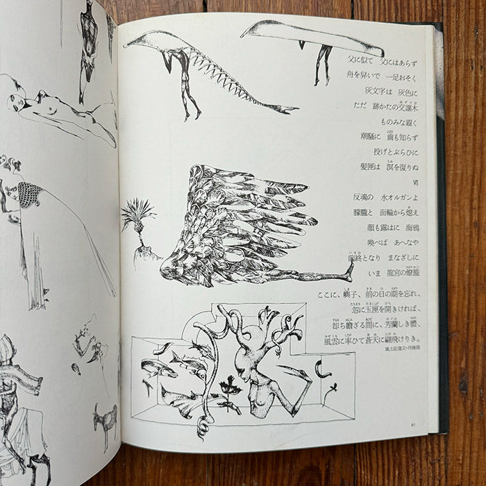 Aquirax Uno - Illustration Now (1974 book) – 50 Watts Books