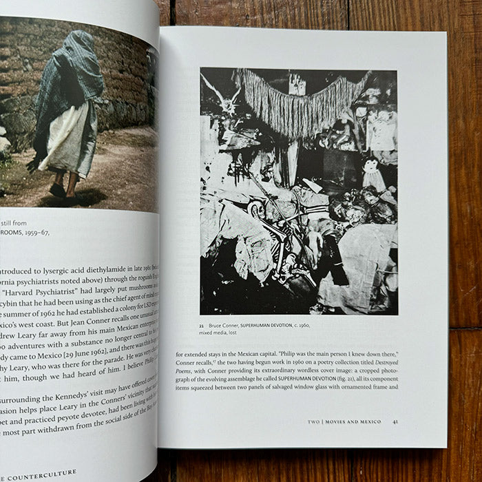 The Artist in the Counterculture - Bruce Conner to Mike Kelley and Other Tales from the Edge (discounted)