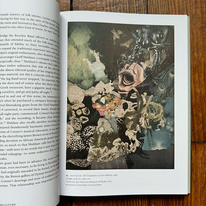 The Artist in the Counterculture - Bruce Conner to Mike Kelley and Other Tales from the Edge (discounted)