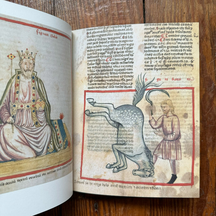 Astrology in Medieval Manuscripts - Sophie Page