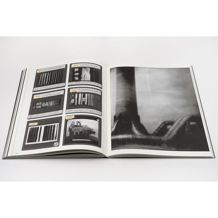 La Nonpareille - The Incomparable - Batia Suter