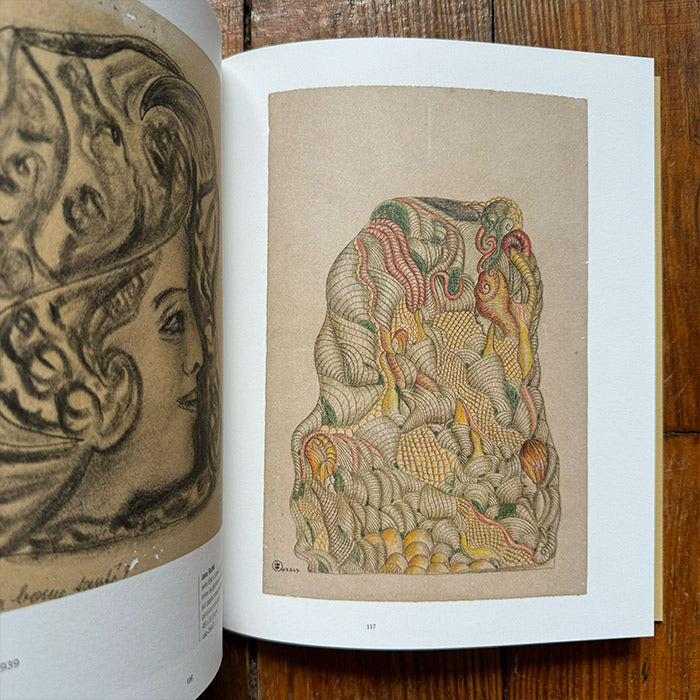 Beliefs - The Art Brut Collection (discounted) – 50 Watts Books