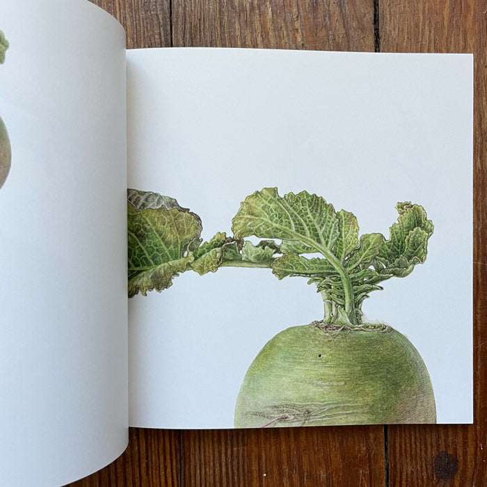Botaniphoria - A Cabinet of Botanical Curiosities | Asuka