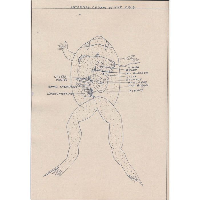 Johnnie Anderson's Botany and Zoology Drawings