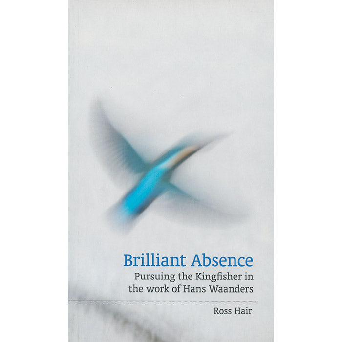 Brilliant Absence - Pursuing the Kingfisher in the Work of Hans Waanders