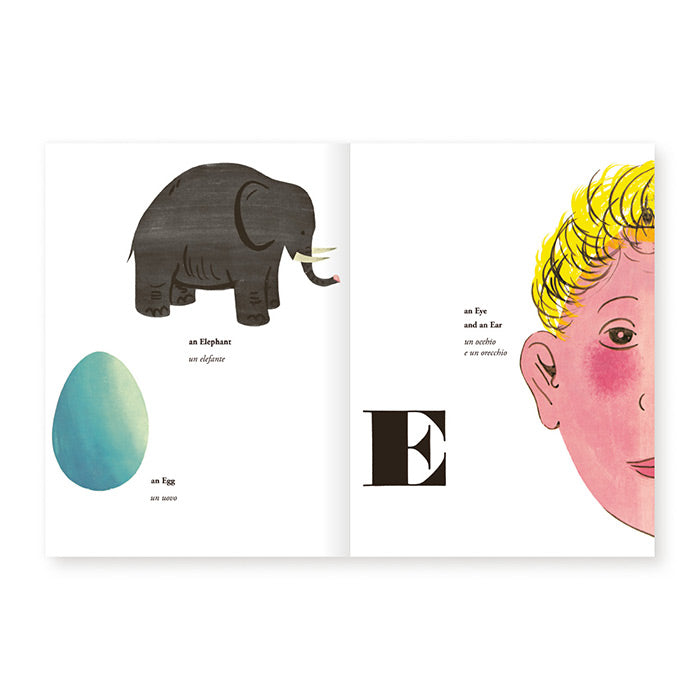 Bruno Munari's ABC – 50 Watts Books