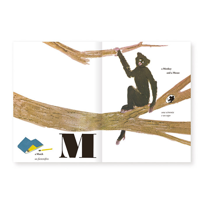 Bruno Munari's ABC – 50 Watts Books