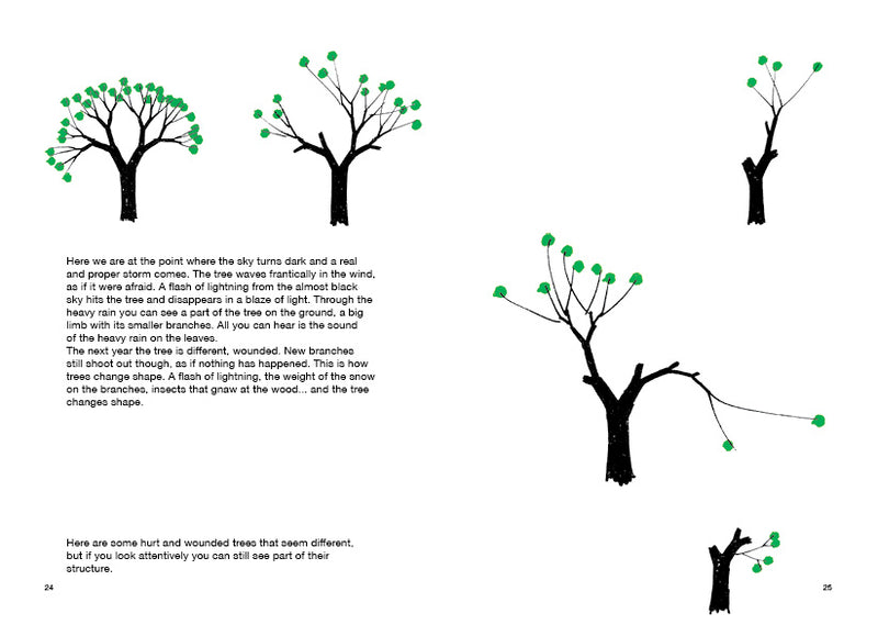 Drawing a Tree - Bruno Munari