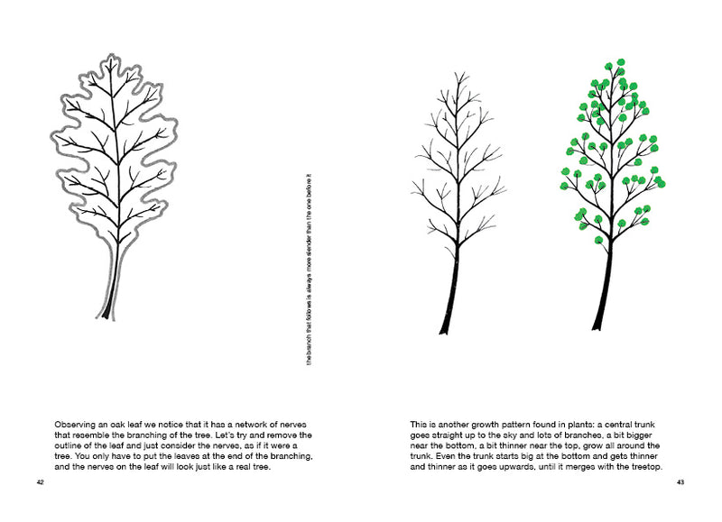 Drawing a Tree - Bruno Munari