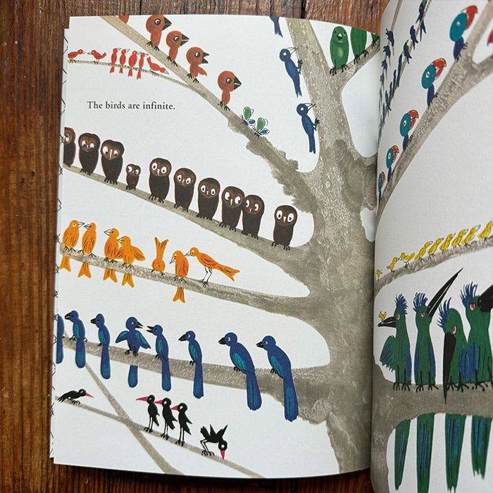 Bruno Munari's Zoo | English-language picture book – 50 Watts Books