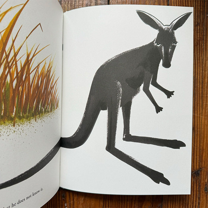 Bruno Munari's Zoo | English-language picture book – 50 Watts Books
