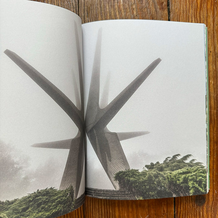 Brutalist Plants Olivia Broome – 50 Watts Books