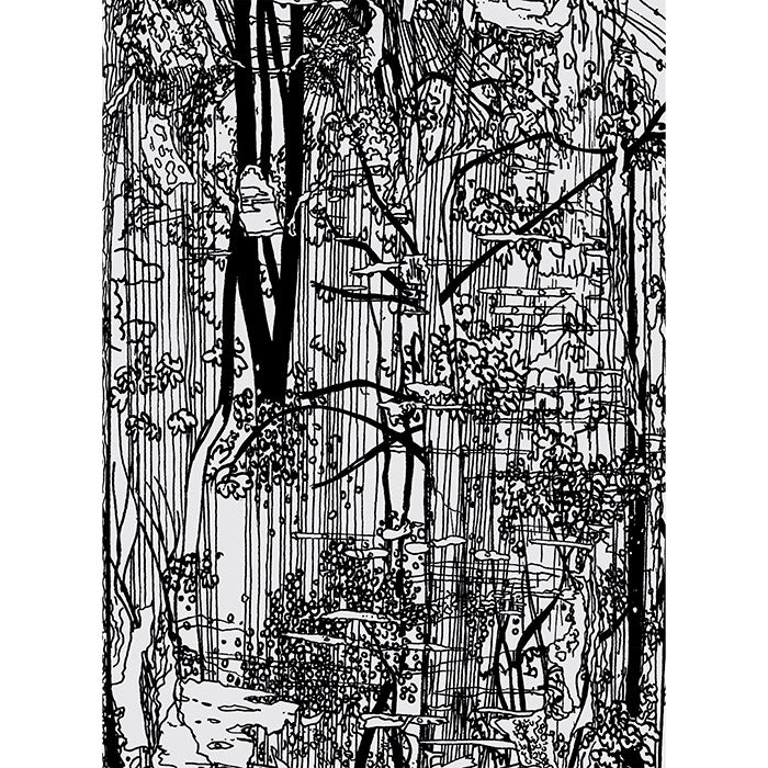 Bucherwald - Drawings by Ingo Giezendanner