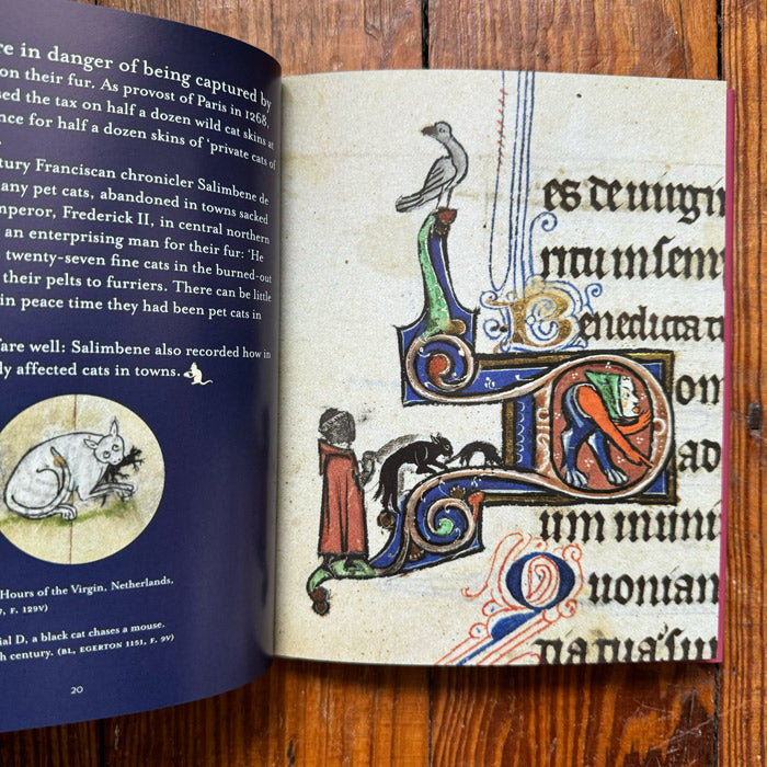 Cats in Medieval Manuscripts - Kathleen Walker-Meikle