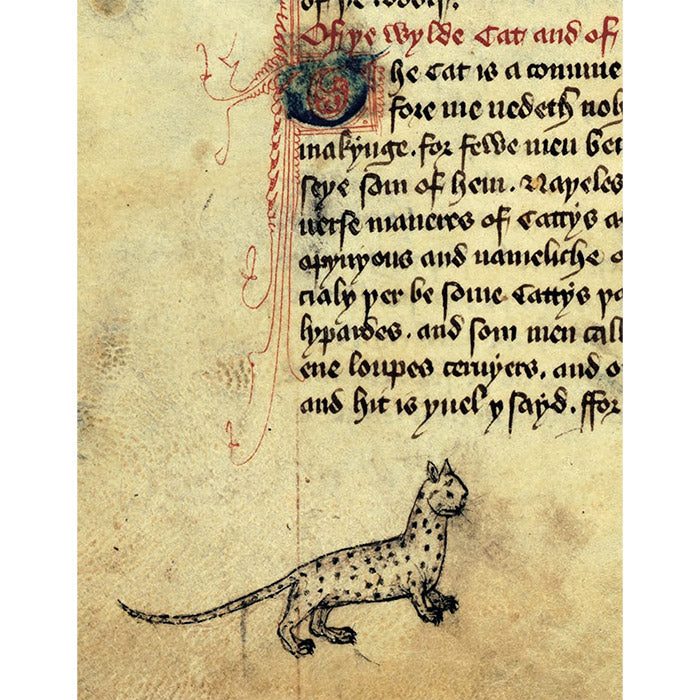Cats in Medieval Manuscripts (British Library)