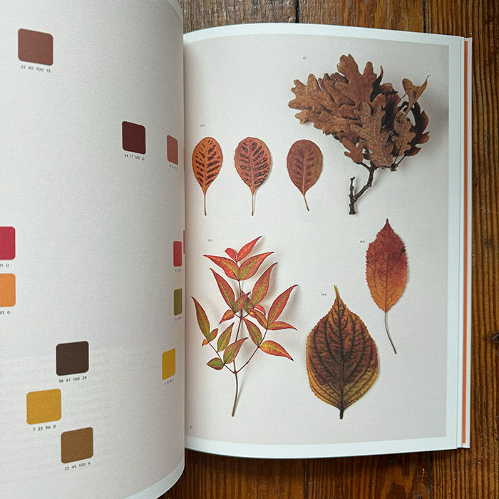 Chromatic Herbarium - Massimo Gardone and Alessandra Muran