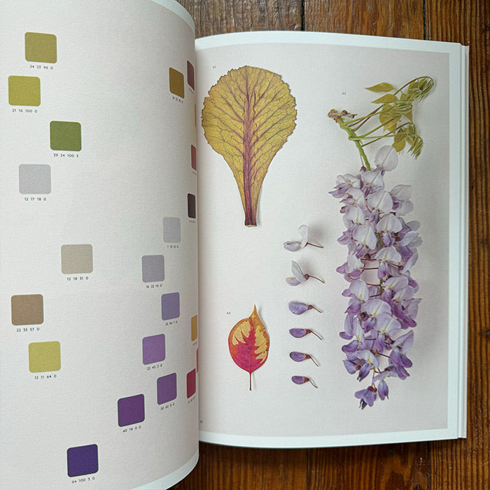 Chromatic Herbarium - Massimo Gardone and Alessandra Muran