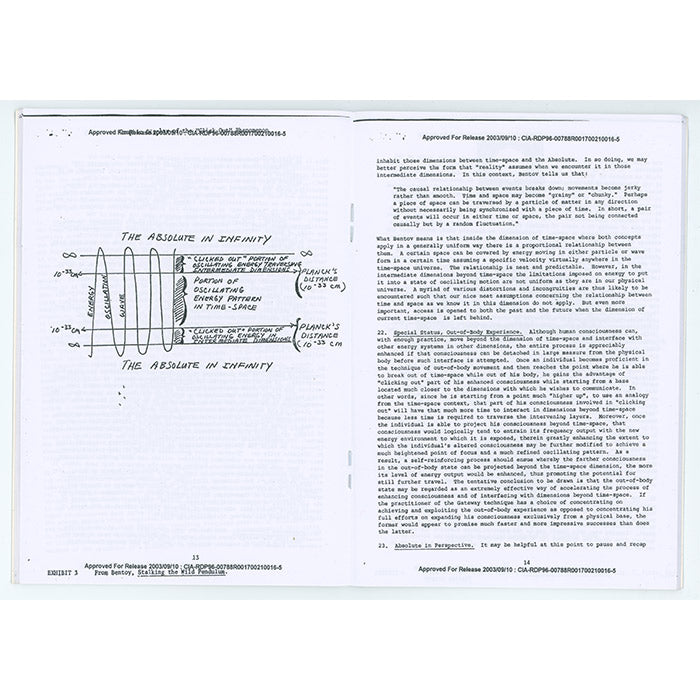 Consciousness Energy Grid zine – 50 Watts Books