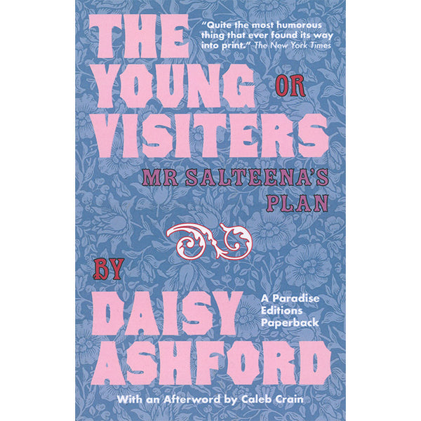 The Young Visiters or Mr Salteena's Plan - Daisy Ashford