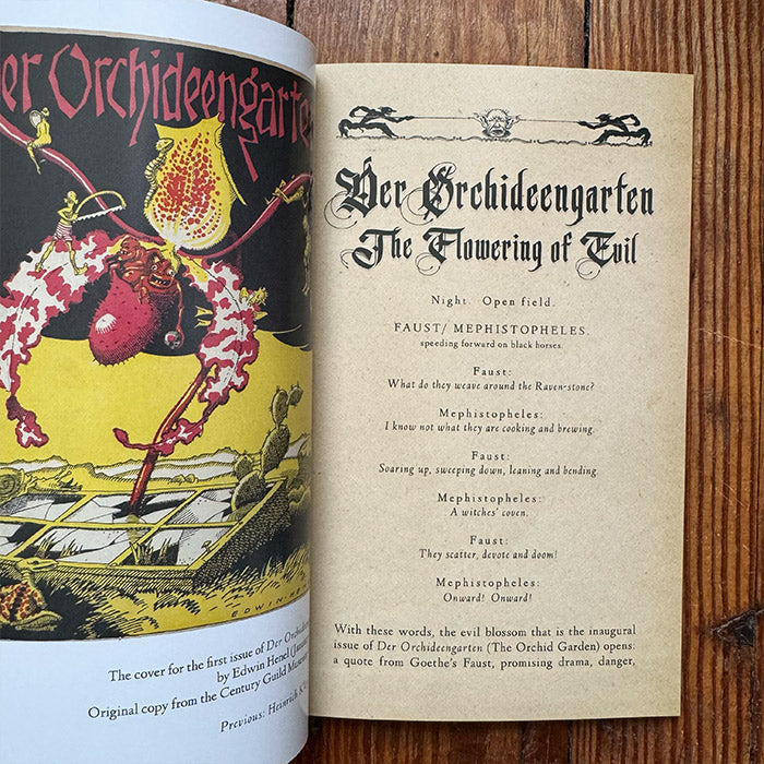 Diabolical Fantasia - The Art of Der Orchideengarten 1919 (1)