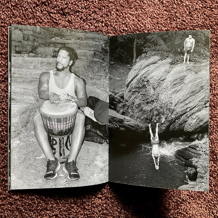 Devil's Pool - Michael Penn