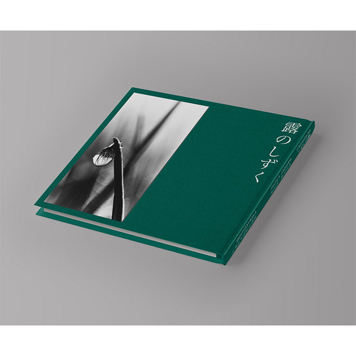 Dewdrops - Mäddel Fuchs – 50 Watts Books