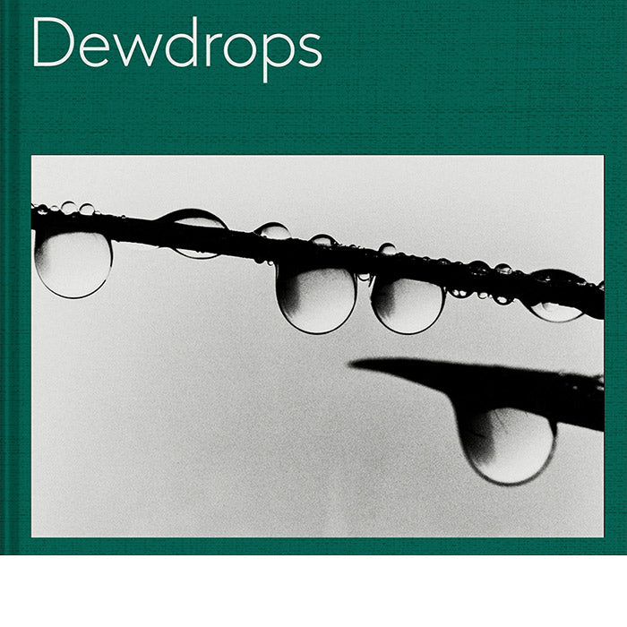 Dewdrops - Mäddel Fuchs