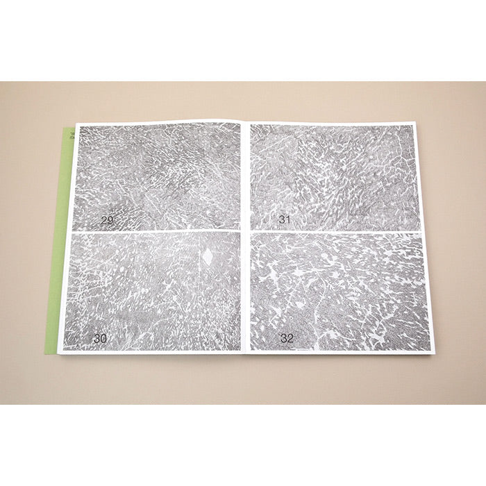 Bas Ketelaars – Edges of Landscape