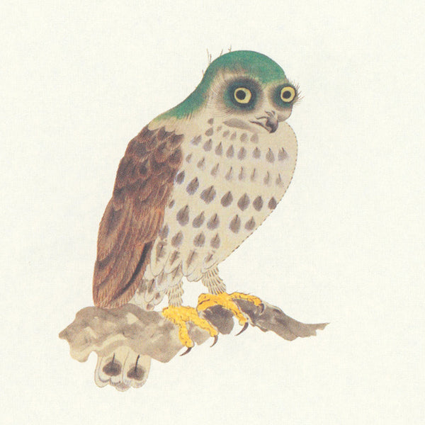 Birds - A Longing for Wings - The Edo Museum Series 1
