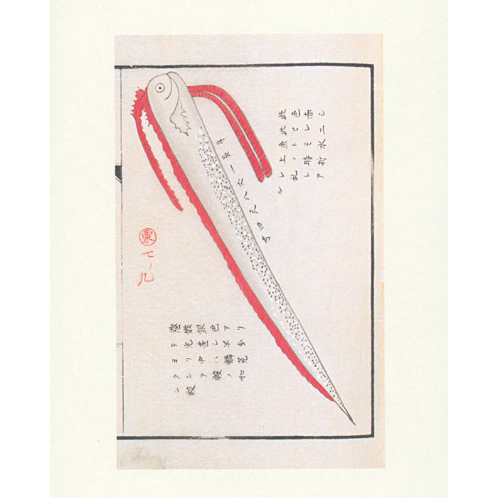 Fish - Aquatic Royalty - The Edo Museum Series 4