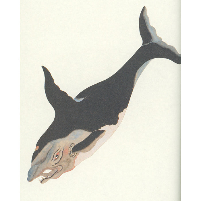 Fish - Aquatic Royalty - The Edo Museum Series 4