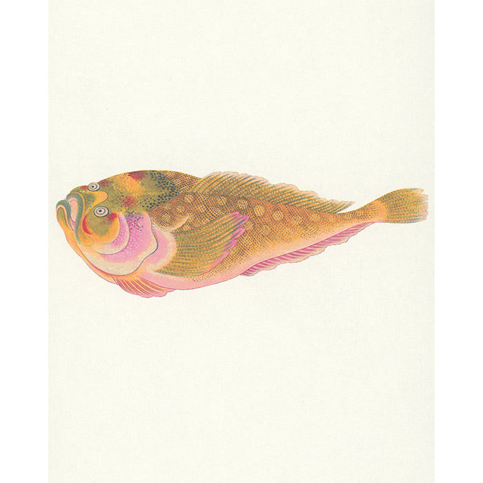 Fish - Aquatic Royalty - The Edo Museum Series 4