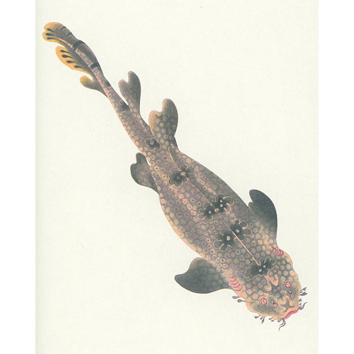 Fish - Aquatic Royalty - The Edo Museum Series 4