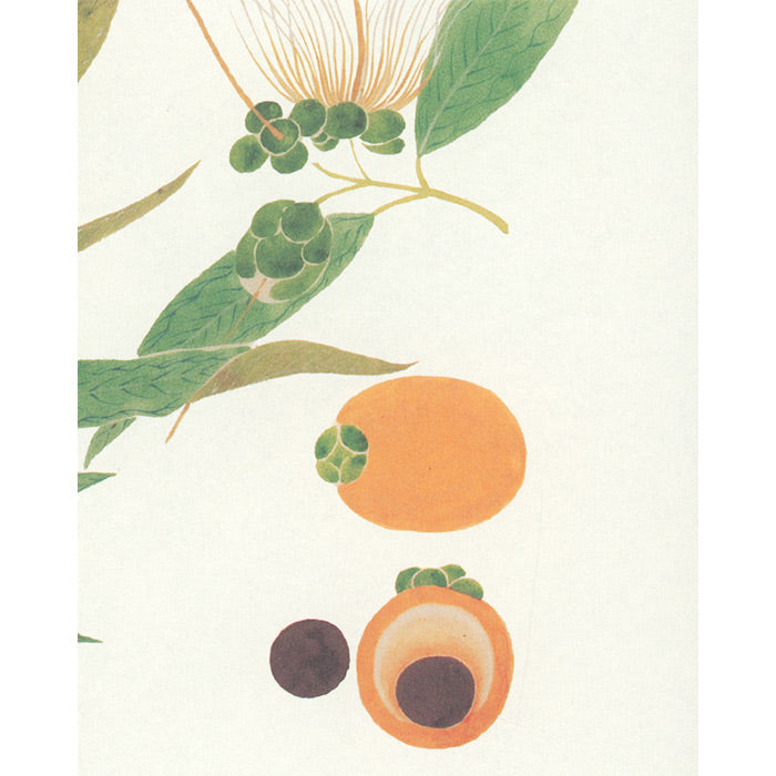 Trees and Greens - Ripening Blessings - The Edo Museum Series 3