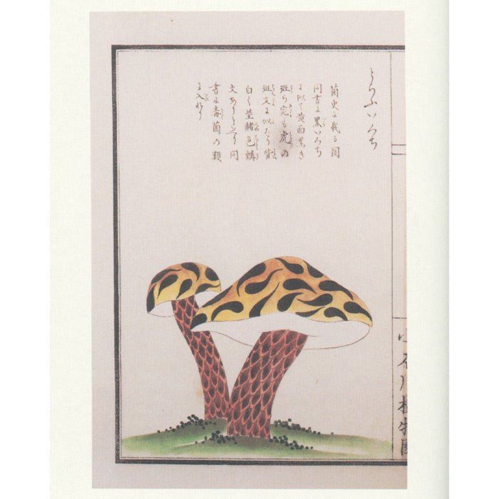 Trees and Greens - Ripening Blessings - The Edo Museum Series 3